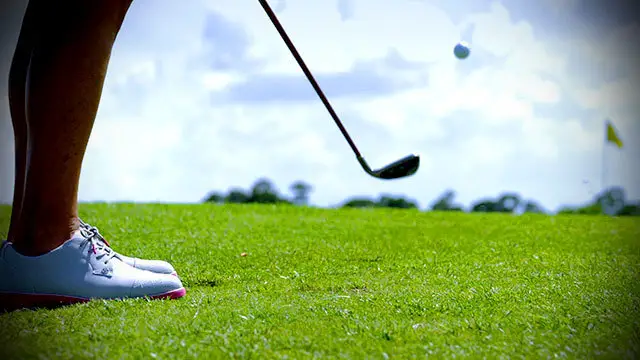 golf8
