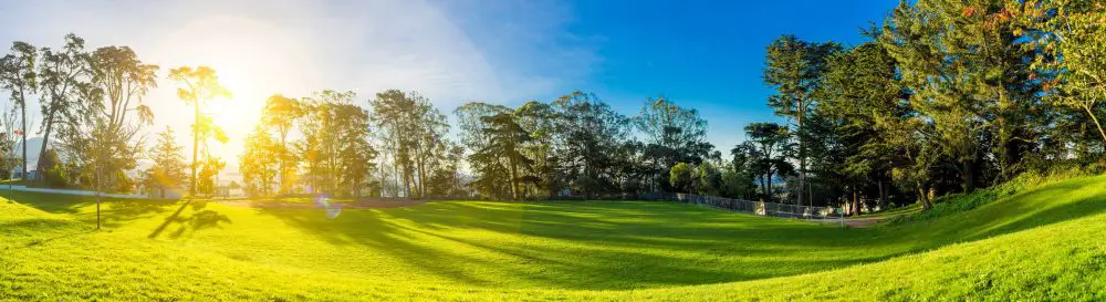 golf-green-horizontal