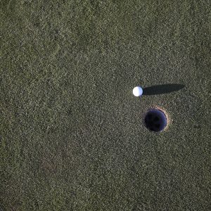 blade-vs-mallet-putter