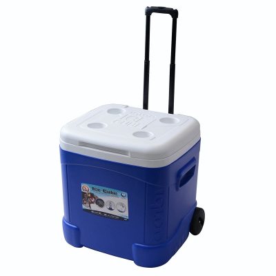 Igloo Ice Cube Roller