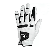 Bionic Glove