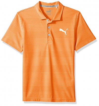 Puma 2018 Pounce Aston