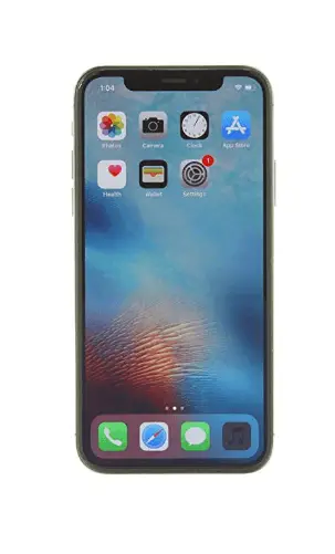 iPhone X