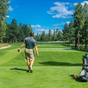 Golfer