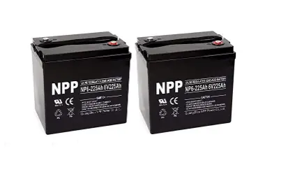NP6