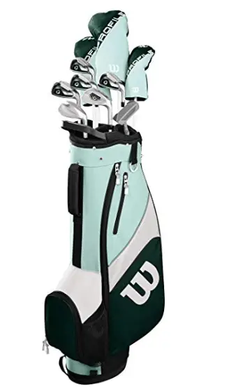 golf clubs for senior women Wilson Profile SGI