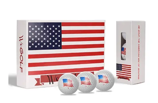 Geodesic Logistics We Golf